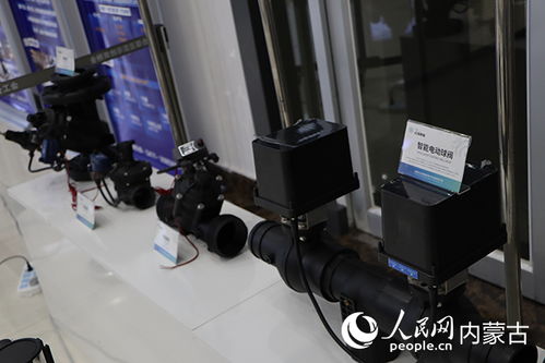 金橋雙創(chuàng)創(chuàng)新集聚區(qū)產(chǎn)業(yè)生態(tài)共創(chuàng)暨科技成果對(duì)接會(huì)成功舉辦，聚焦技術(shù)咨詢賦能產(chǎn)業(yè)發(fā)展