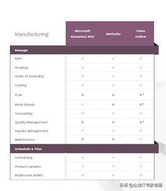 ERP小金剛Pro專業大比拼 Dynamics 365、NetSuite與Odoo定制化深度解析